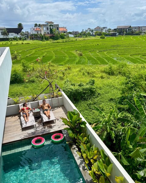 Patio, Spring, Day, Natural landscape, Garden, Garden view, Pool view, Swimming pool, sunbed