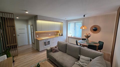 Kitchen or kitchenette, Living room, Seating area, Dining area, stove