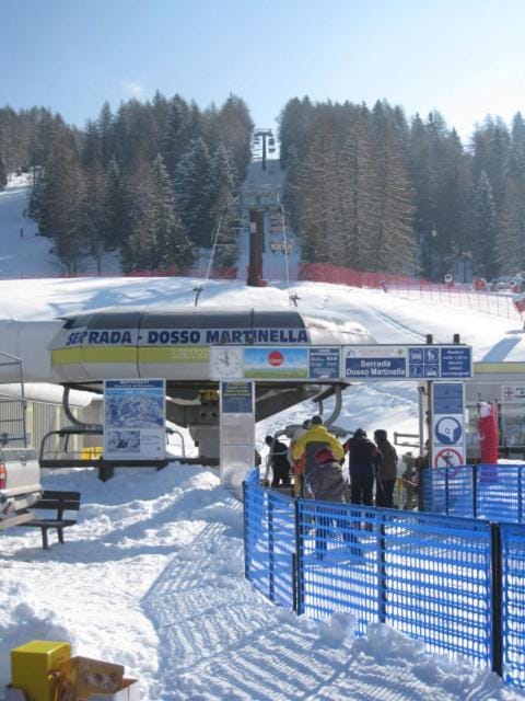 Skiing, Area and facilities