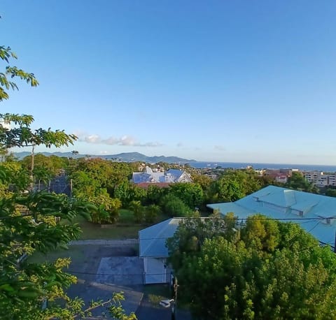 Bird's eye view, Sea view
