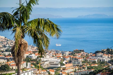 City view, Sea view