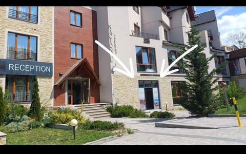 N-LUX 66 MILMARI kopaonik Apartment in Serbia