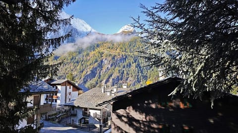 Villa Tancredi - The Belle Époque Apartment in Courmayeur
