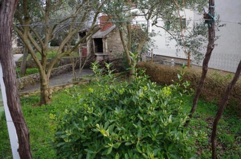 Patio, BBQ facilities