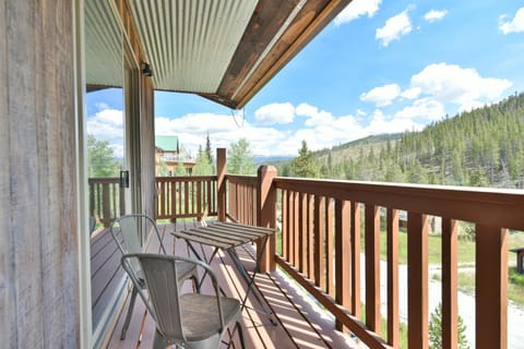 Breck Mountain Lookout - Dog Friendly Home House in Breckenridge