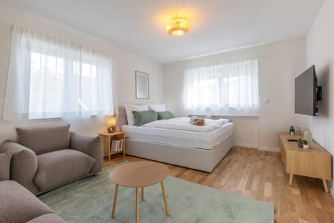 Bed, TV and multimedia, Living room, Photo of the whole room, Seating area, Bedroom