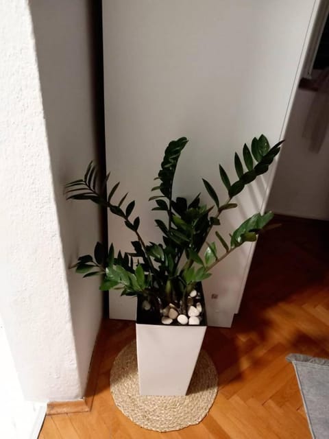 Apartman Old Town Apartment in Dubrovnik-Neretva County