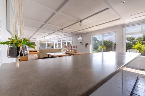 Elusive Penguin House in Bicheno