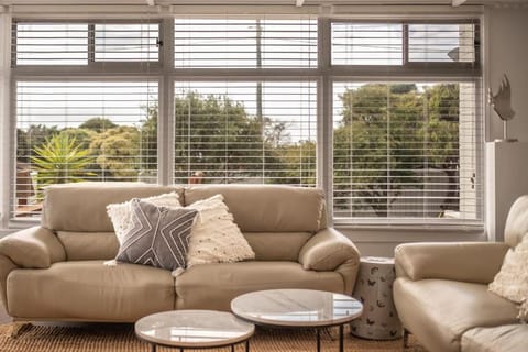 Elusive Penguin House in Bicheno