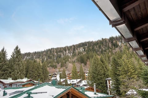 Apt Design a Campiglio 400m funivie House in Madonna di Campiglio