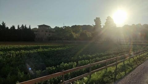 Il Cedro del Libano Bed and Breakfast in Perugia