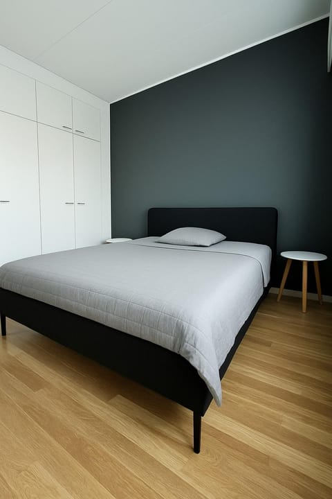 Spacious two-room apartment with sauna Apartment in Finland