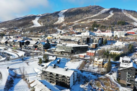 Neighbourhood, Bird's eye view, Winter, Mountain view