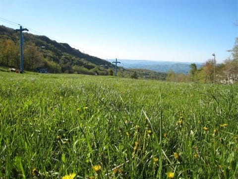112 Skiway House in Beech Mountain