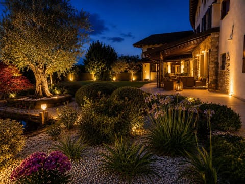 Night, Garden, Garden view