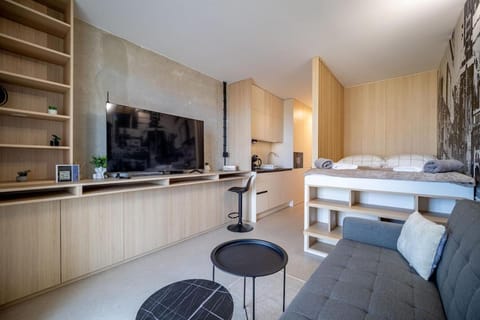 Bed, TV and multimedia, Kitchen or kitchenette, Living room, Photo of the whole room, Seating area, Bedroom