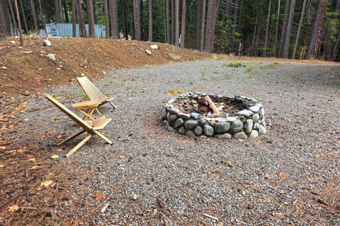 Wildwood Cabin Cabin in Roslyn