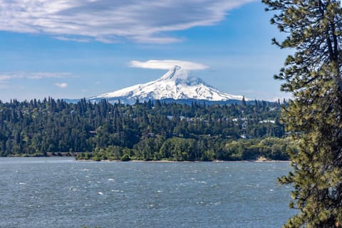 Inventor's Cottage 30 Night Minimum House in Underwood