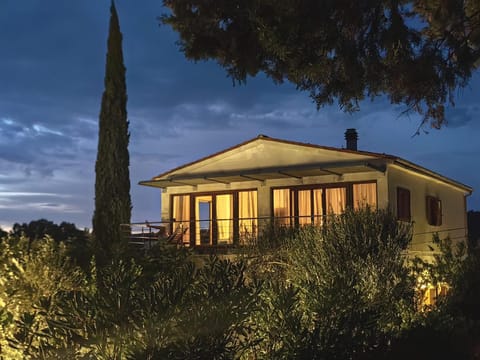 Property building, Night, Garden view