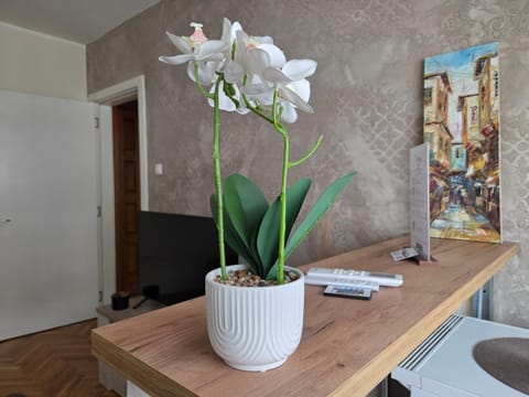 Living room, Decorative detail