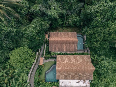 Property building, Day, Natural landscape, Bird's eye view, Pool view, Swimming pool