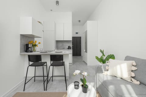 Kitchen or kitchenette, Living room, Seating area, oven, pet friendly, stove