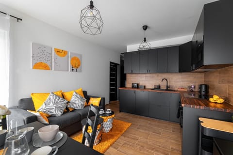 Kitchen or kitchenette, Living room, Seating area, Dining area, stove