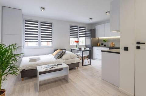 Bed, Kitchen or kitchenette, Living room, Photo of the whole room, Seating area, Bedroom, wardrobe