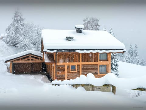 Property building, Natural landscape, Winter