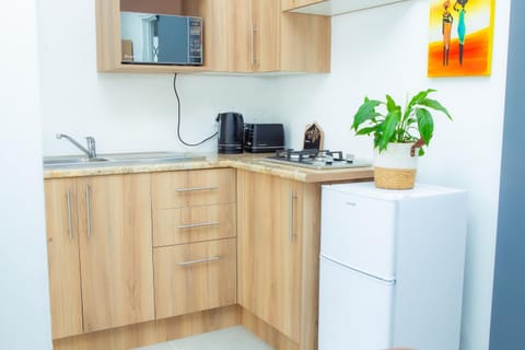 Kitchen or kitchenette, stove, toaster