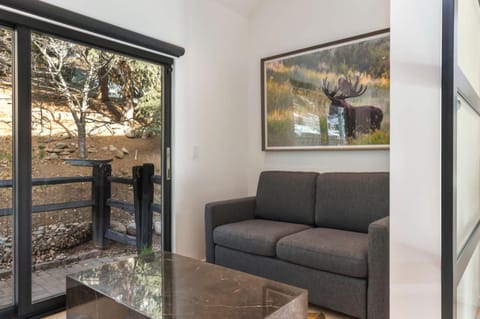 Luxury Mountain Getaway - Vail Single-Family Home House in Vail