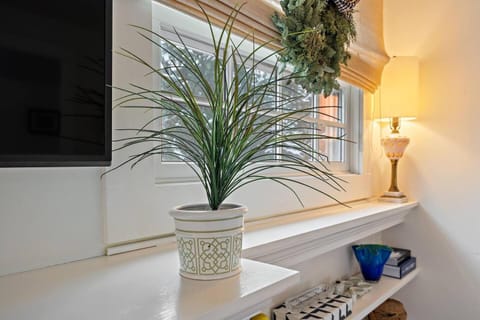 "Broadway Hideaway" by Roxy Rentals House in Minnetonka