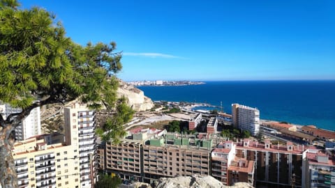 Property building, Bird's eye view