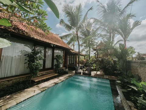 Property building, Day, Garden, Garden view, Swimming pool, sunbed