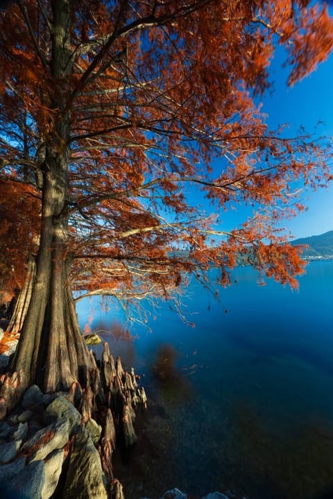 Natural landscape, Lake view