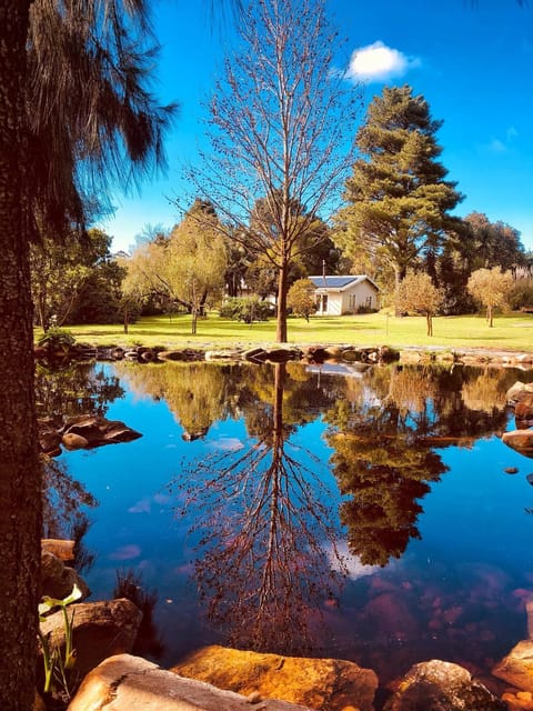 Day, Natural landscape, Lake view