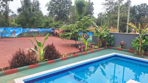 Day, Swimming pool, Time of day