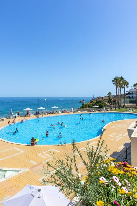 Natural landscape, Pool view, Sea view, Swimming pool, sunbed
