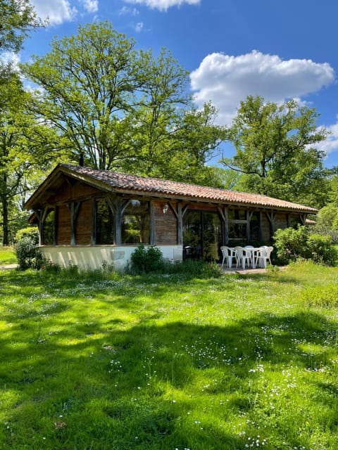 Property building, Natural landscape, Garden view