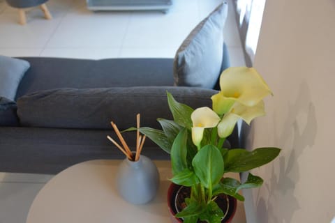 San Pietro Apartment in Liguria