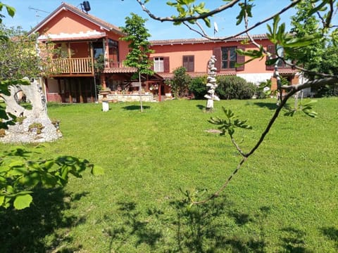 Patio, Garden, Garden view