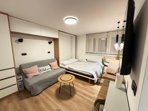 Bed, Living room, Photo of the whole room, Seating area, Bedroom