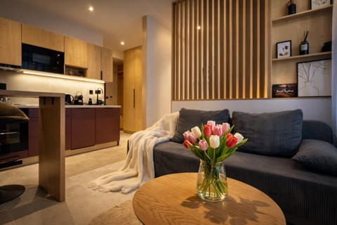 Living room, kitchen