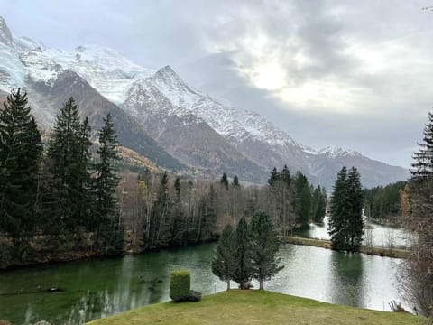 Appartement spacieux avec parking et animaux admis, proche de Chamonix - FR-1-343-273 Apartment in Les Houches
