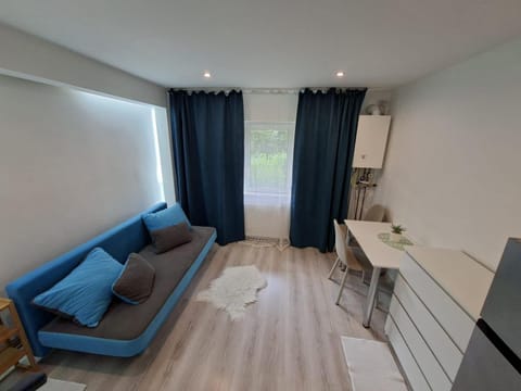 Living room, Seating area, Dining area, Dinner