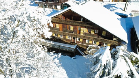 Chalet Suvay Chalet in Châtel
