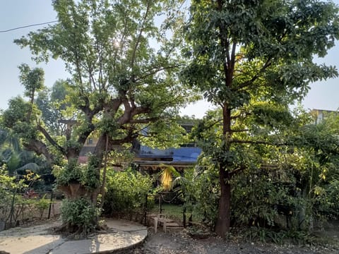 Property building, View (from property/room), Garden view