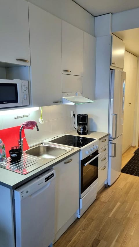 Cozy studio apartment near the city center Apartment in Rovaniemi