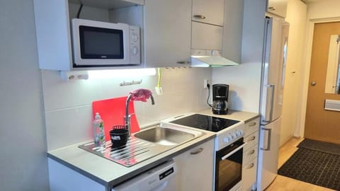 Cozy studio apartment near the city center Apartment in Rovaniemi