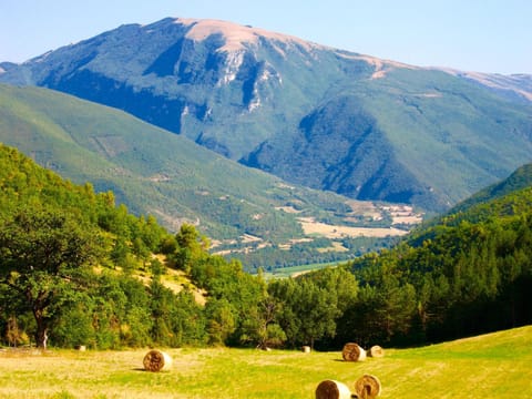 Natural landscape, Garden, Other, Garden view, Landmark view, Mountain view, Location